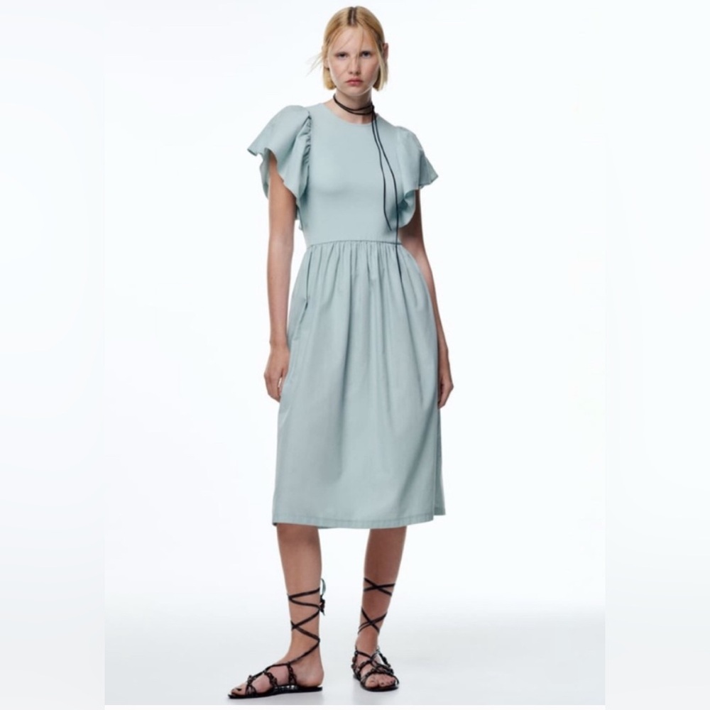Zara Ruffled Sleeve Dress